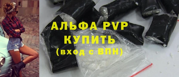 стаф Абинск