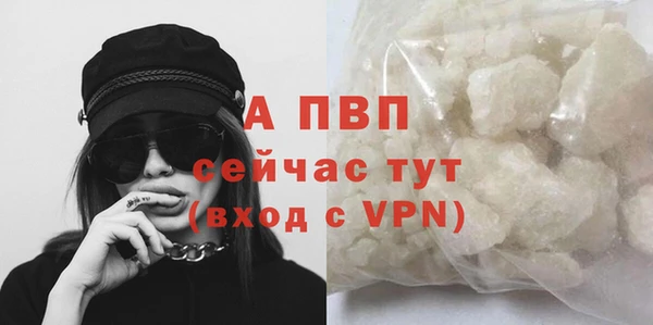стаф Абинск