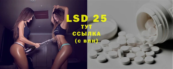 стаф Абинск