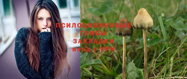 стаф Абинск